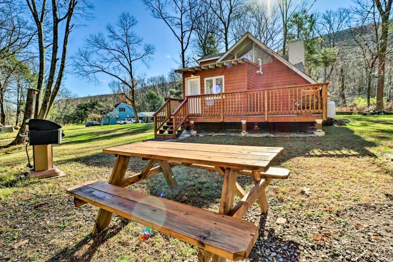 Cozy Gem - Ski, Hike, Explore!