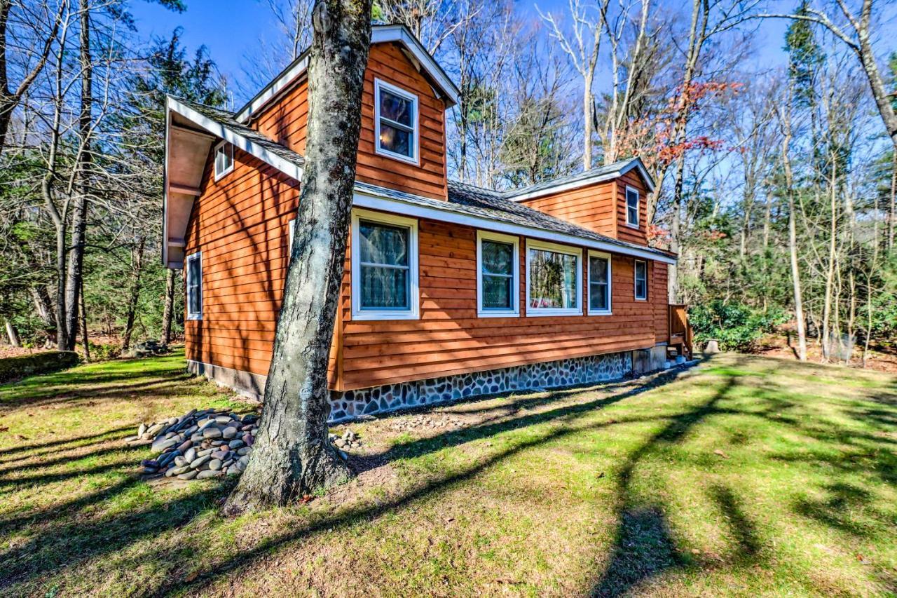 Cozy Gem - Ski, Hike, Explore! *
